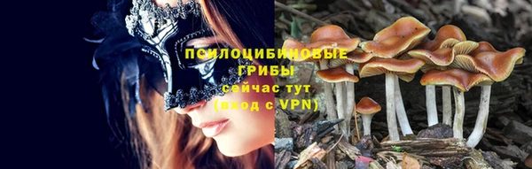 спайс Балахна