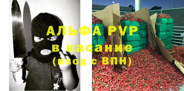 индика Баксан