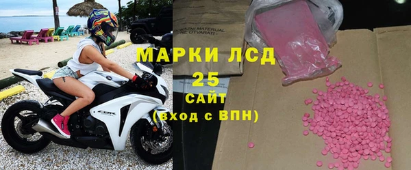 индика Баксан
