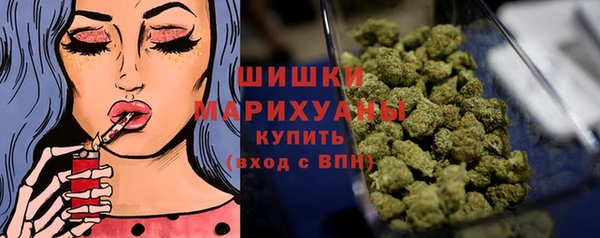 индика Баксан