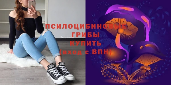 индика Баксан